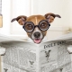 AdBlock Crazy Dog liest Zeitung
